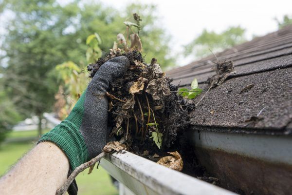 Gutter Cleaning Auburn WA, Gutter Cleaning Kent WA, Gutter Cleaning Covington WA, Gutter Cleaning Maple Valley WA, Gutter Cleaning Des Moines WA, Gutter Cleaning Normandy Park WA, Gutter Cleaning Burien WA, Gutter Cleaning Renton WA, Gutter Cleaning Newcastle WA, Gutter Cleaning West Seattle WA, Gutter Cleaning Seattle WA, Gutter Cleaning Mercer Island WA, Gutter Cleaning Issaquah WA, Gutter Cleaning Sammamish WA, Gutter Cleaning Bellevue WA, Gutter Cleaning Medina WA, Gutter Cleaning Clyde Hill WA, Gutter Cleaning Hunts Point WA, Gutter Cleaning Redmond WA, Gutter Cleaning Kirkland WA, Gutter Cleaning Bothell WA, Gutter Cleaning Ballard WA, Gutter Cleaning Black Diamond WA,